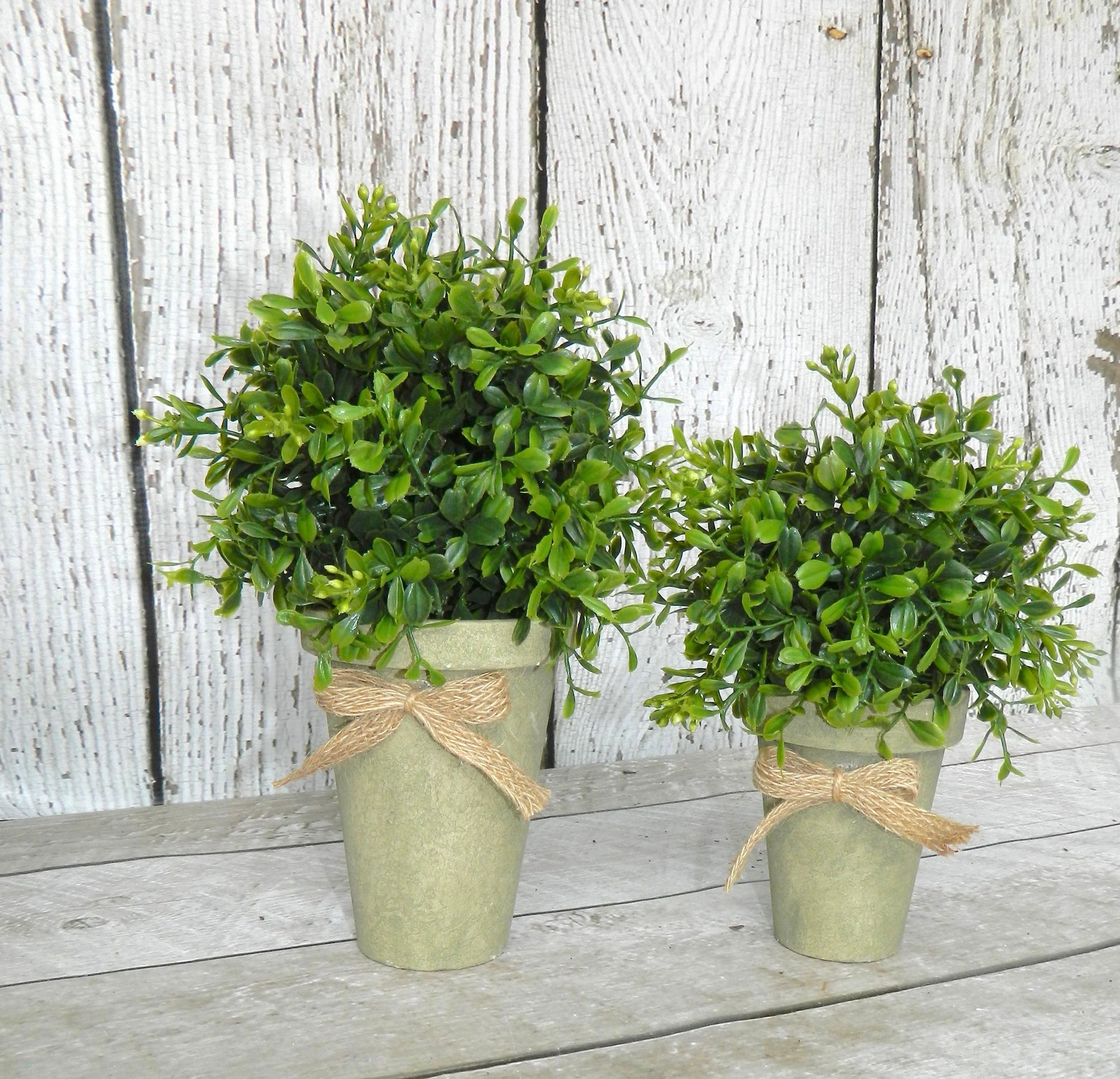 Potted Boxwood Farmhouse Decor