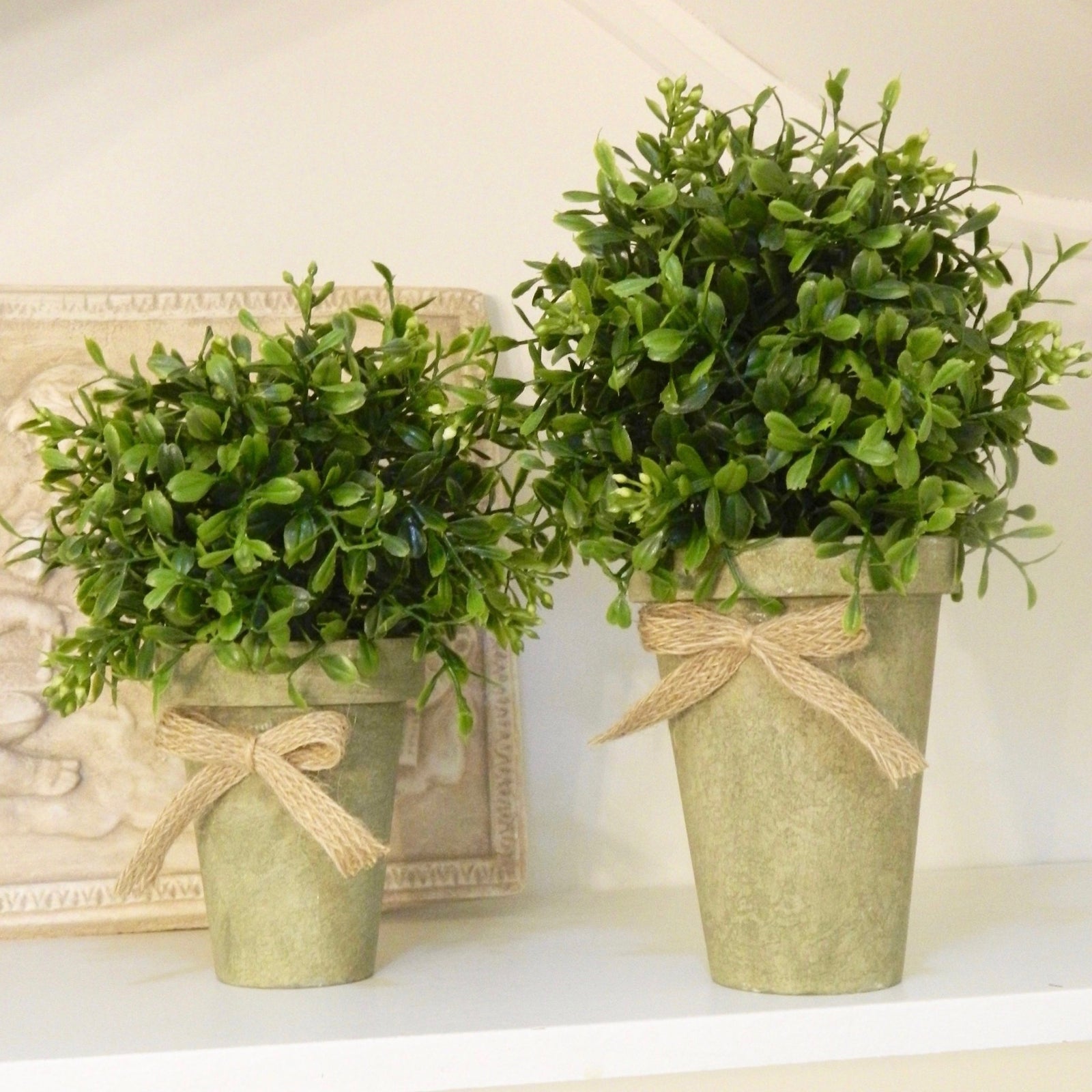 Potted Boxwood Farmhouse Decor