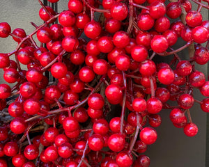 Red Waterproof Berry Wreath with Bow