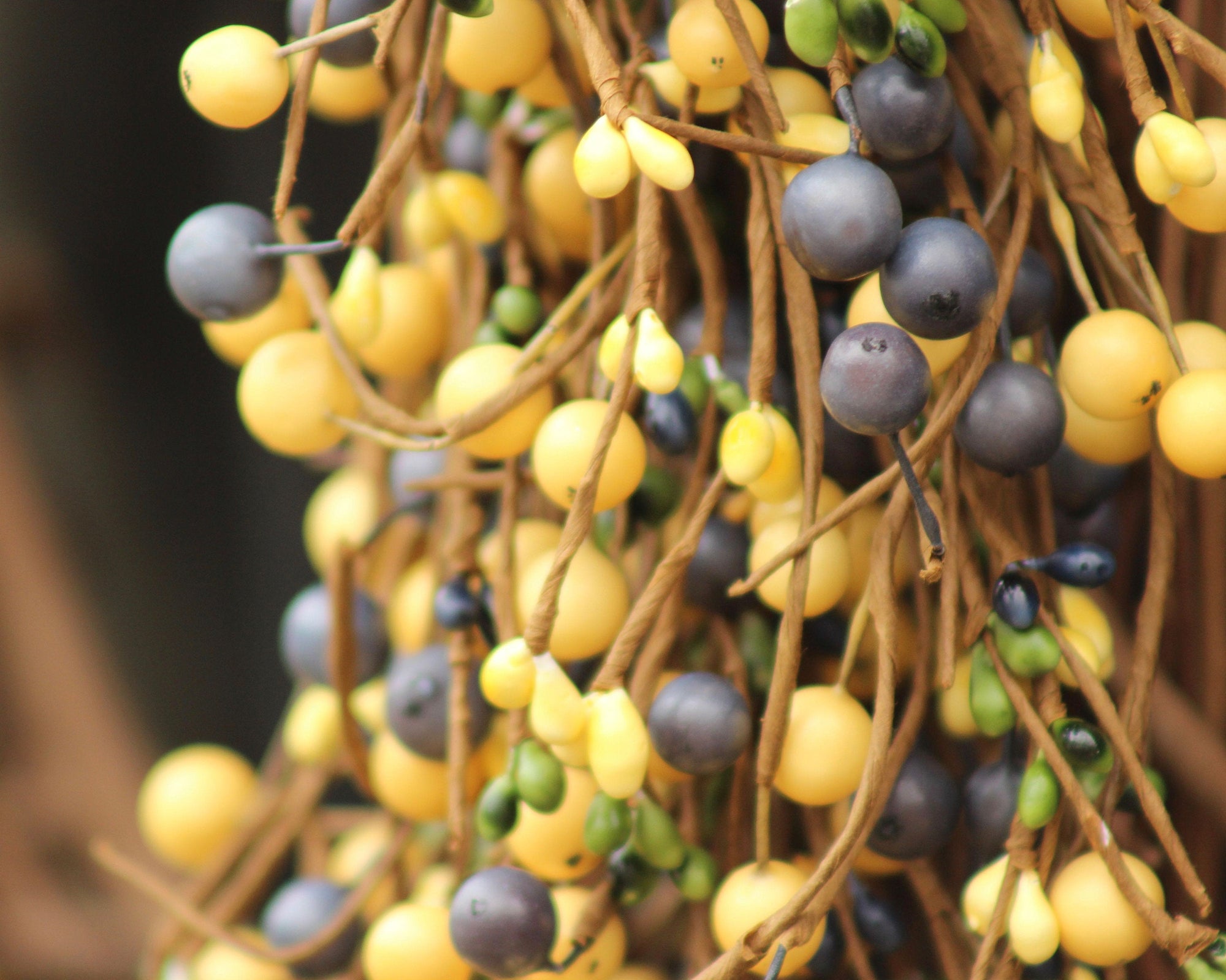 Yellow Blue & Green Berry Wreath