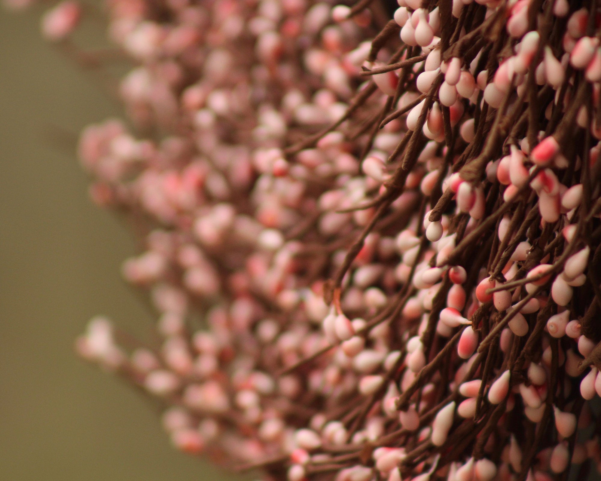 Pink Pip Berry Wreath