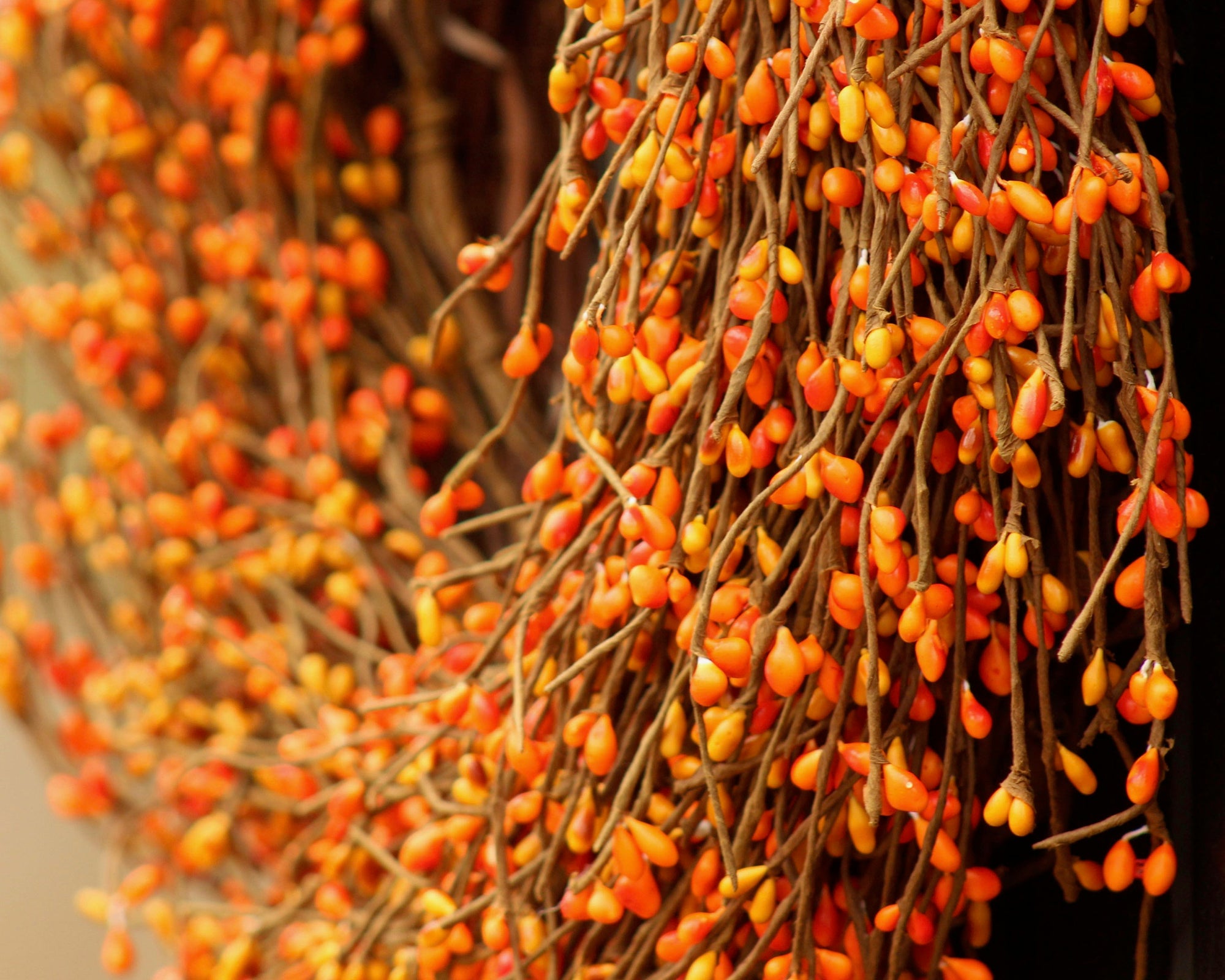 Shades of Orange Pip Berry Wreath