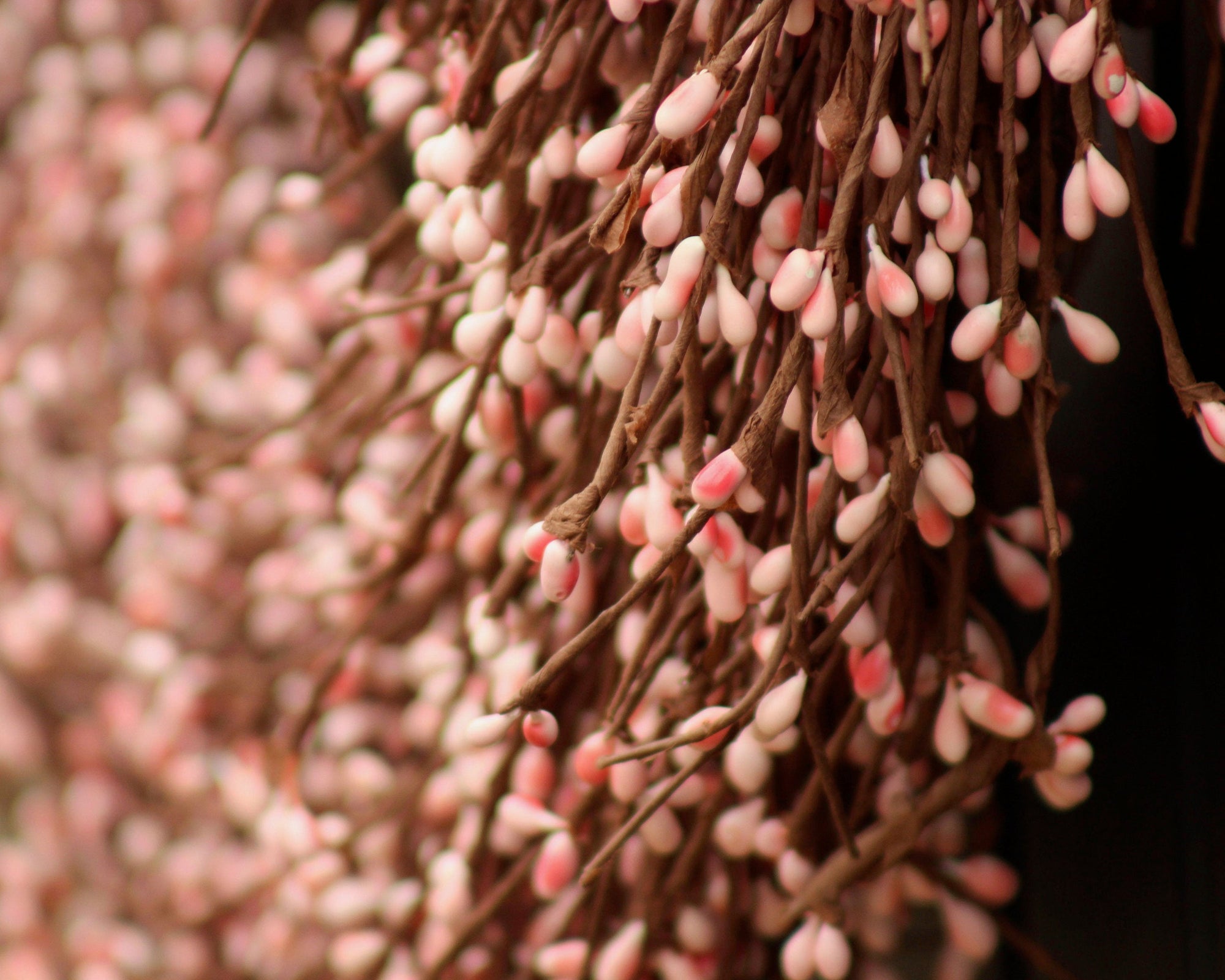 Pink Pip Berry Wreath