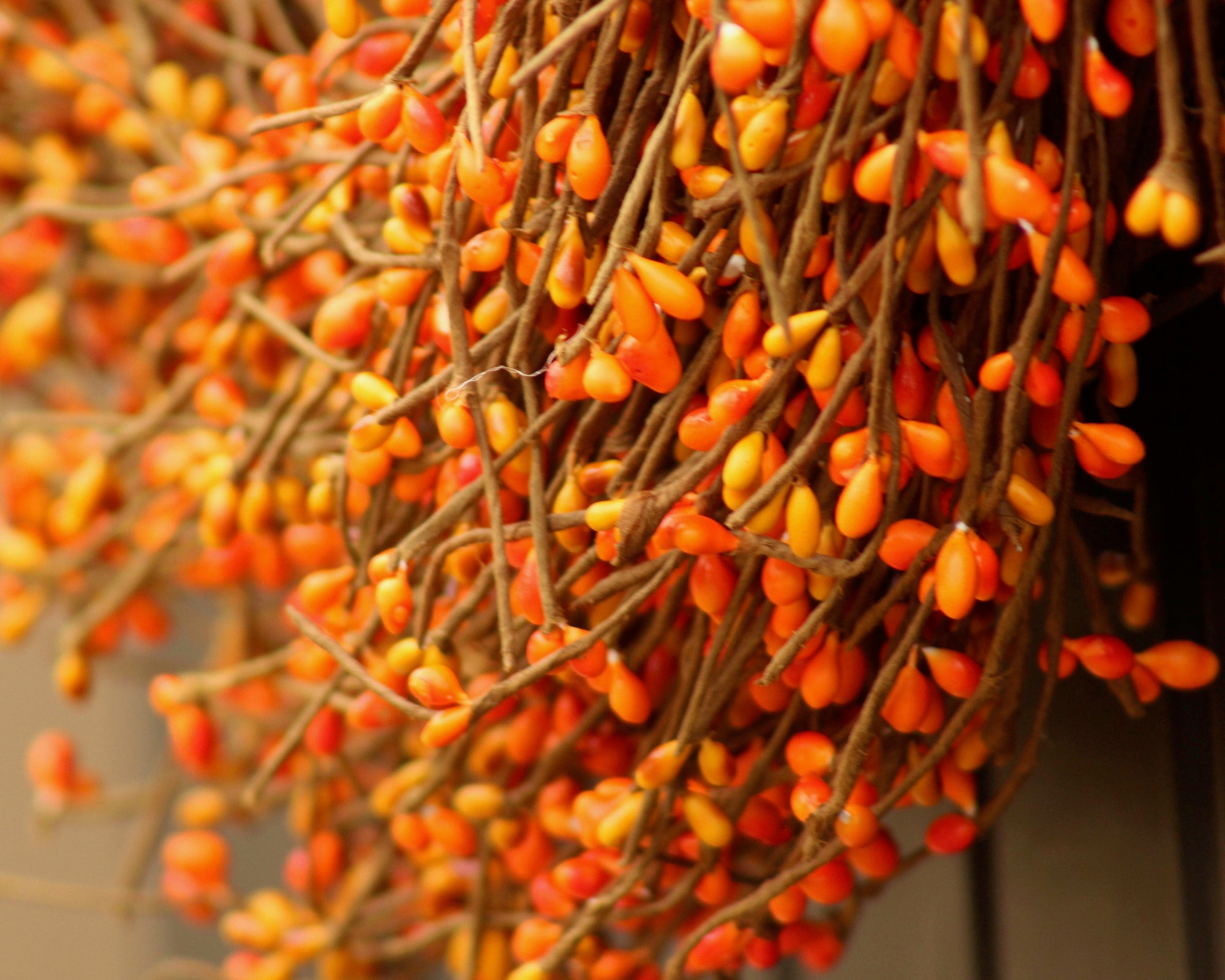 Shades of Orange Pip Berry Wreath