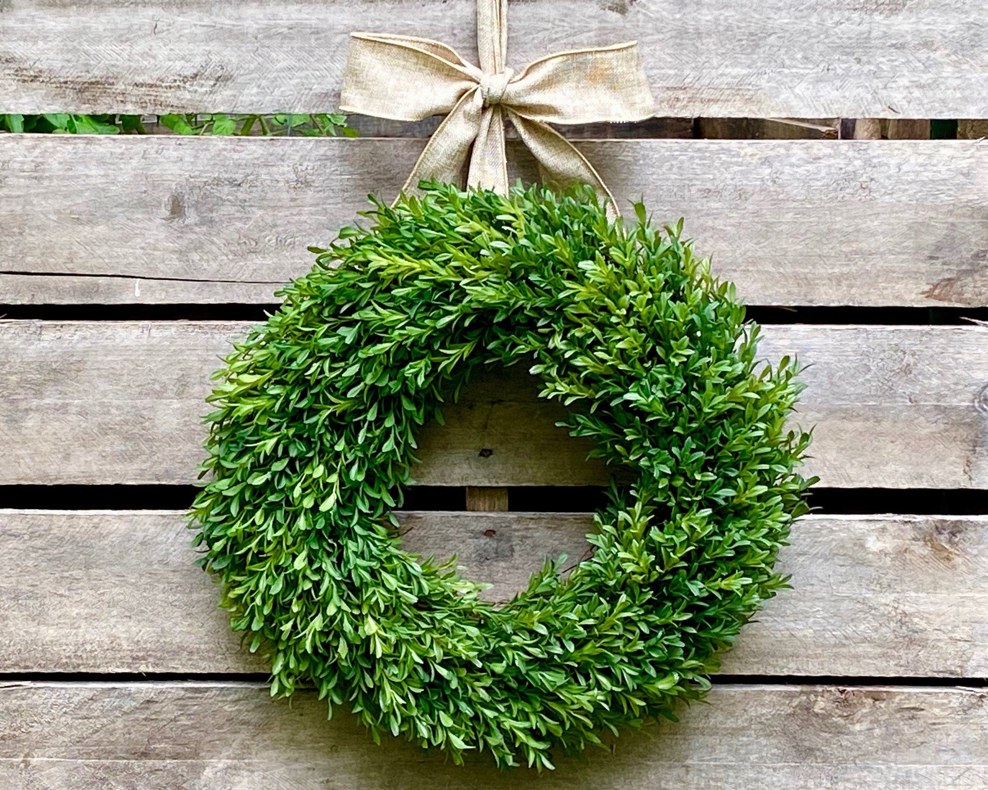 Fall Boxwood Wreath with Removable Pumpkins